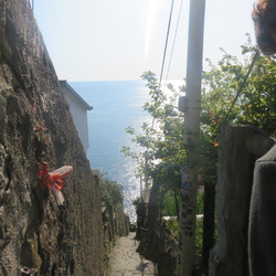 Photos